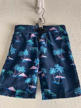 Street Rules Authentic Street Wear Island Dino Swim Trunks size 3T